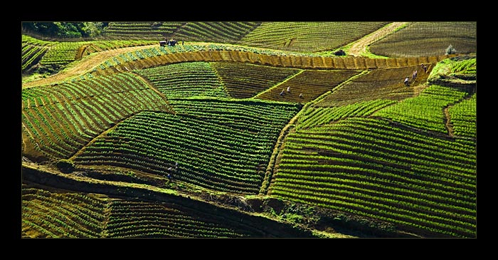 Sapa, Vietnam