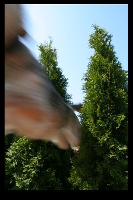 Skok daleký