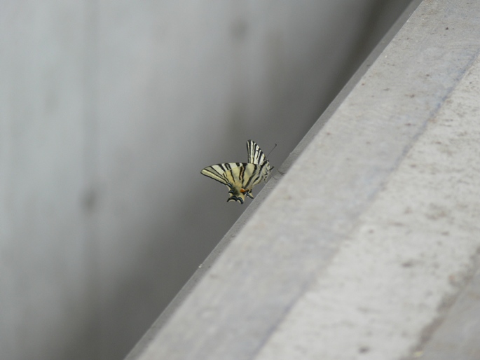 Simplicity vs. nature