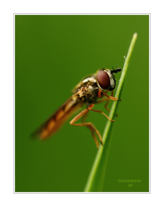 Mírně nakloněná jednička