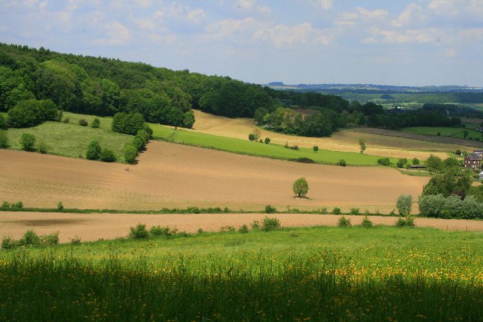 Limburg