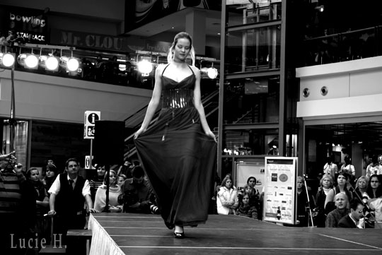 V záři reflektorů...