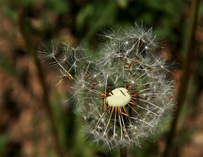 Odlétáme