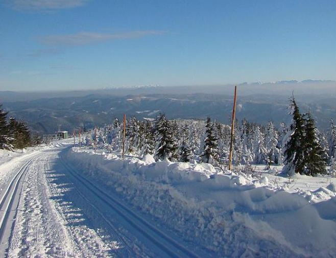 Vzpomínka na paní zymu...