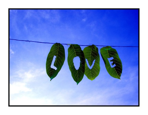 love