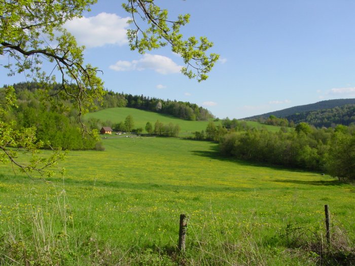 Jihočesko