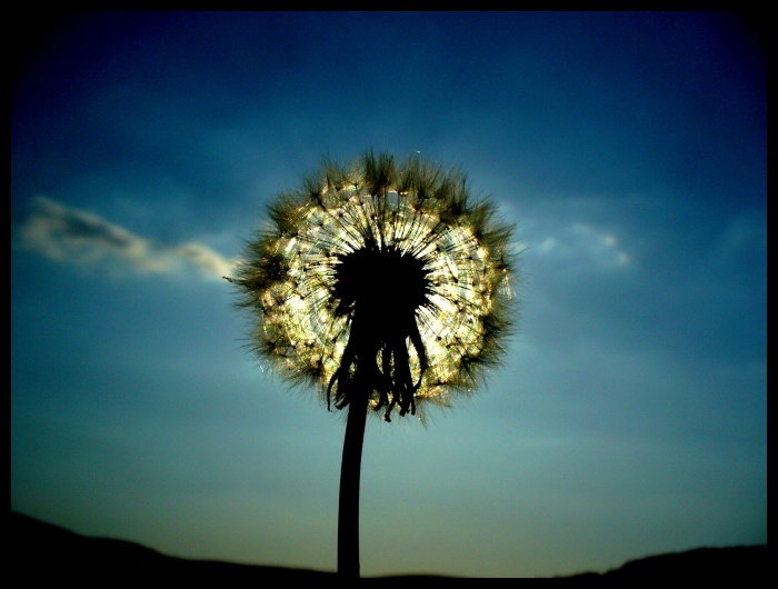 Sluneční lampa