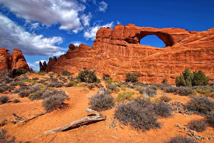 Arches