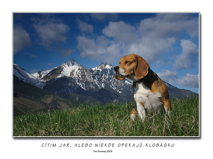 Cítim jar, alebo niekde opekajú klobásku