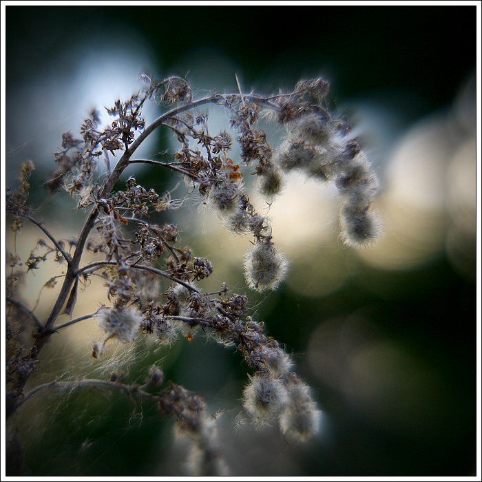 ...v lese...