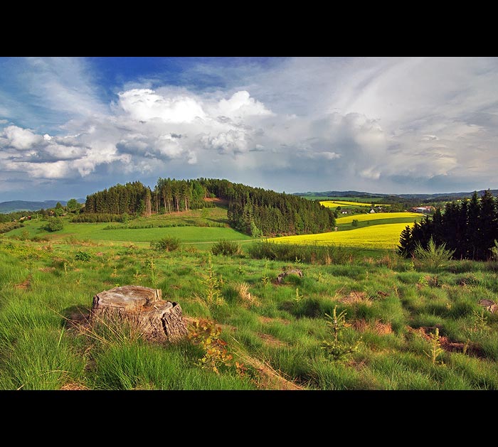 Orlické hřebeny II