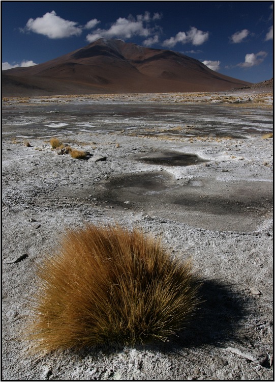 Altiplano