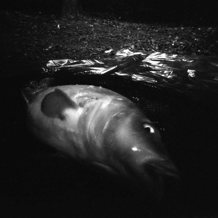 Fakt mě potom pustíš?