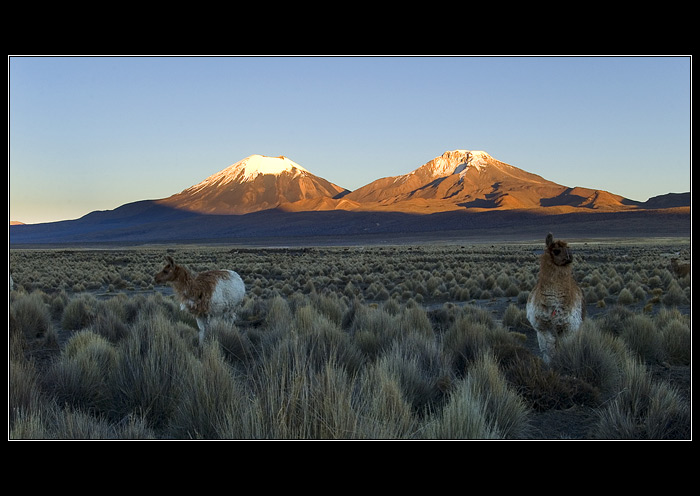 Parinacota y Pomerape