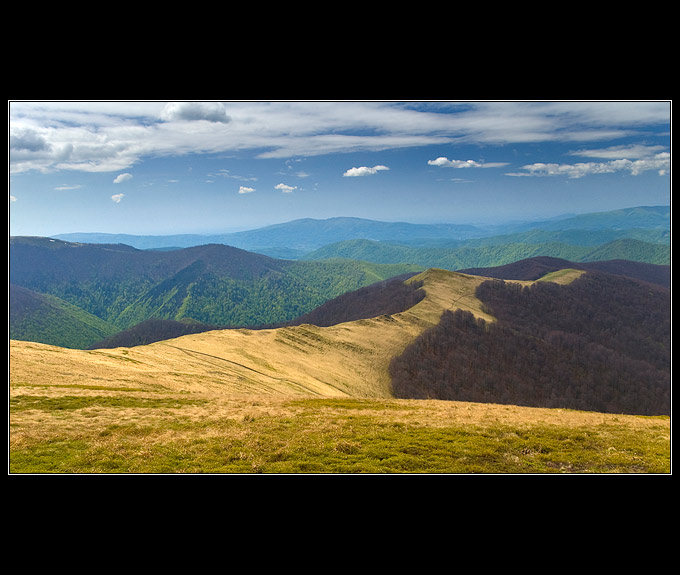 Zlaté hřbety