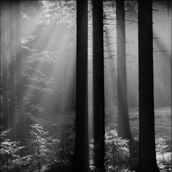 ..tam...