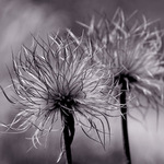 Smutné vzdalování