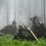 Deštivé ráno na Rejvízu