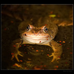 Úsmev až za oči II