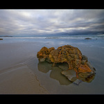 Smetí z Arai-te-uru II.