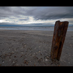 Já sem nepatřím...