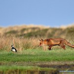 ...Ještě metr a.....