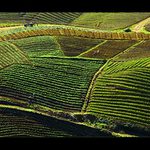 Sapa, Vietnam