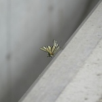 Simplicity vs. nature