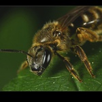  možná, trochu naštvaná