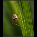 Jsem DOKONALÝ letec :-)