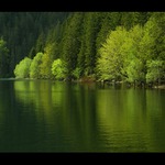 Barvy Černého jezera