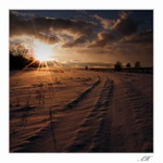 Dlouhá cesta za sluncem