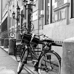 holandské zátiší