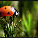 Au,au to to píchá.