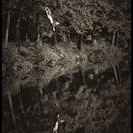 how deep is your love?