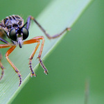 Jen se na mě podívej