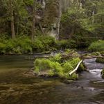 NP České Švýcarsko II