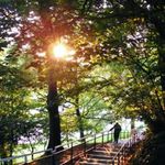 Vzhuru ke hvezdam....