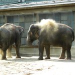 ...mámo pojď mi umejt záda