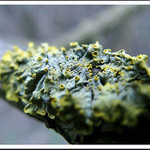 všetci potrebujú dýchať...