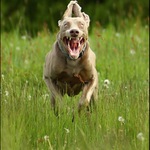 Jsi dost rychlej?  JÁ DOST ;-)