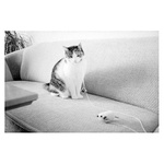 Hra na kočku a na myš - loutkové divadlo