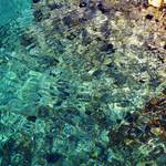 ...zahodený do vody...