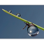 Maskovaný upír  :)