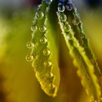 *** Navlékání korálků ***