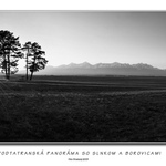 Podtatranská panoráma so slnkom a borovicami