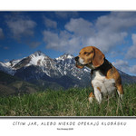 Cítim jar, alebo niekde opekajú klobásku