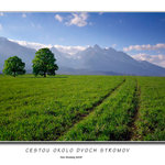 Cestou okolo dvoch stromov