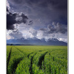 Križovatka zelených ciest