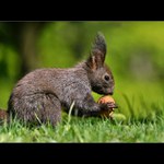 Copak to tady máme?